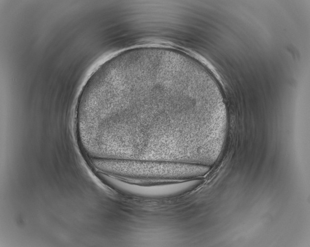 X0000111871379200908201207