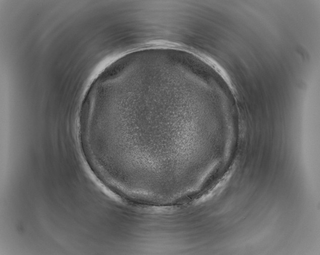 X0000111871381200908201207