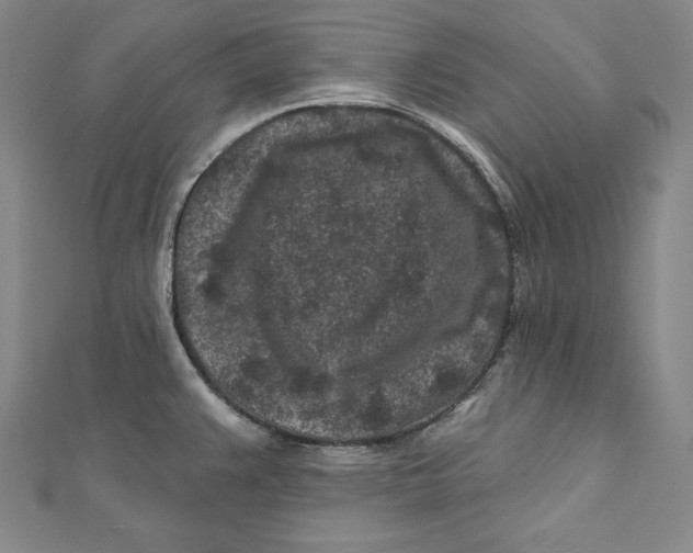 X0000111871383200908201207