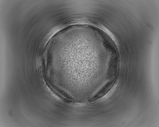 X0000111871385200908201207