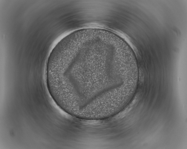 X0000111871387200908201207