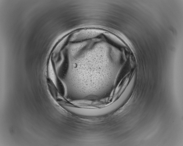 X0000111871388200908201207