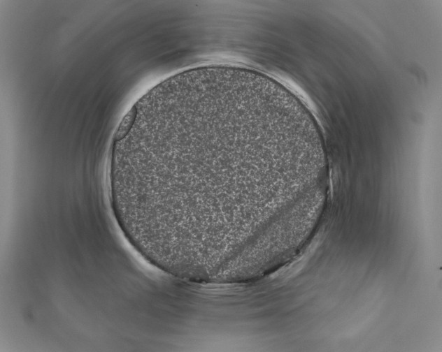 X0000111871391200908201207