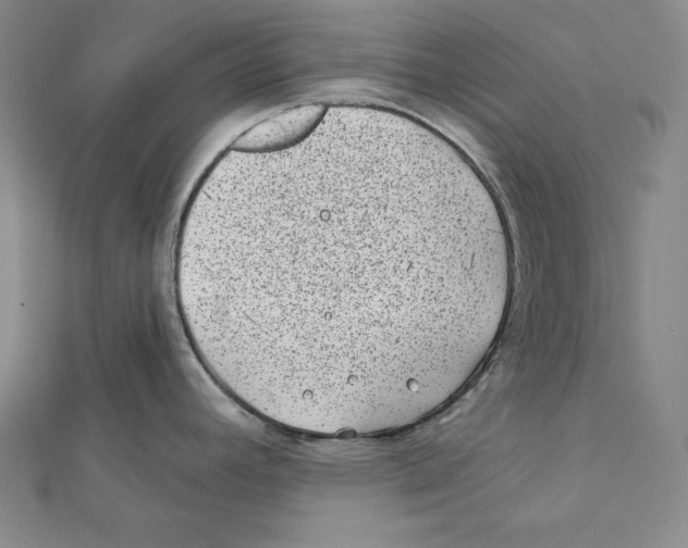 X0000111871392200908201207