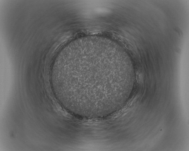 X0000111871393200908201206