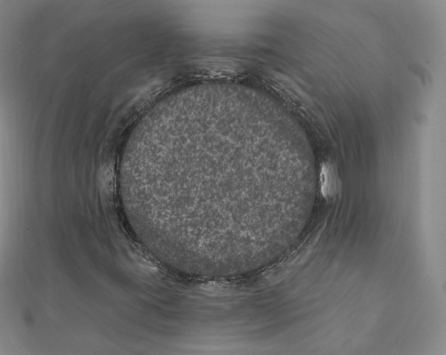 X0000111871395200908201206