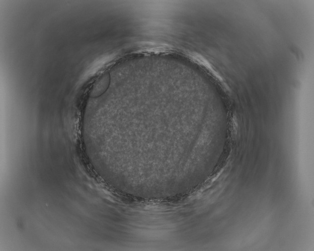 X0000111871399200908201206