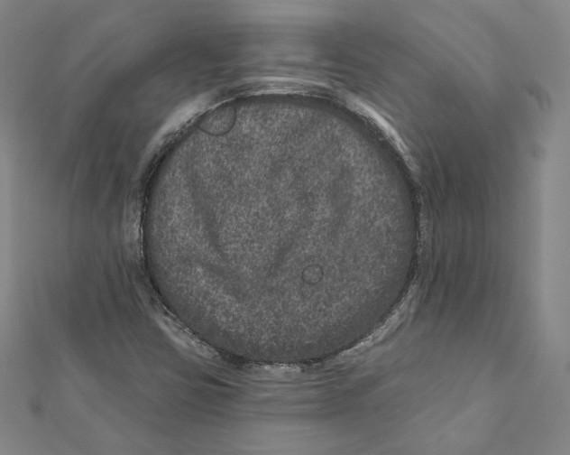 X0000111871403200908201207