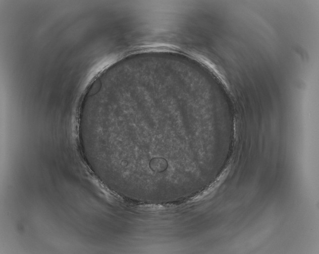 X0000111871405200908201207