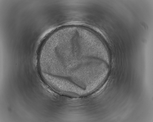 X0000111871406200908201207