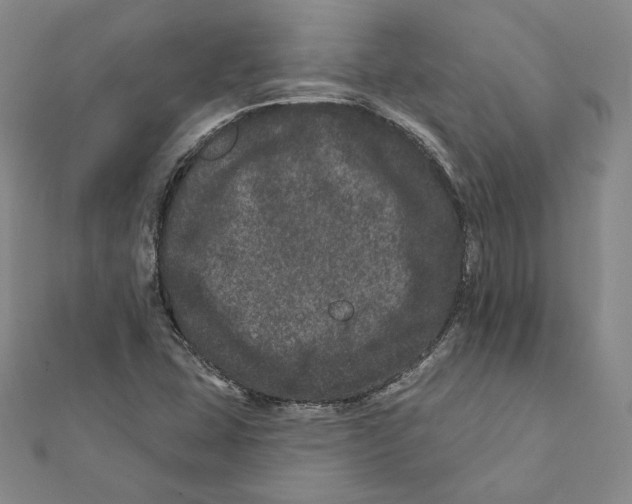 X0000111871407200908201207