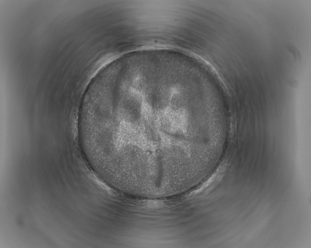 X0000111871409200908201207