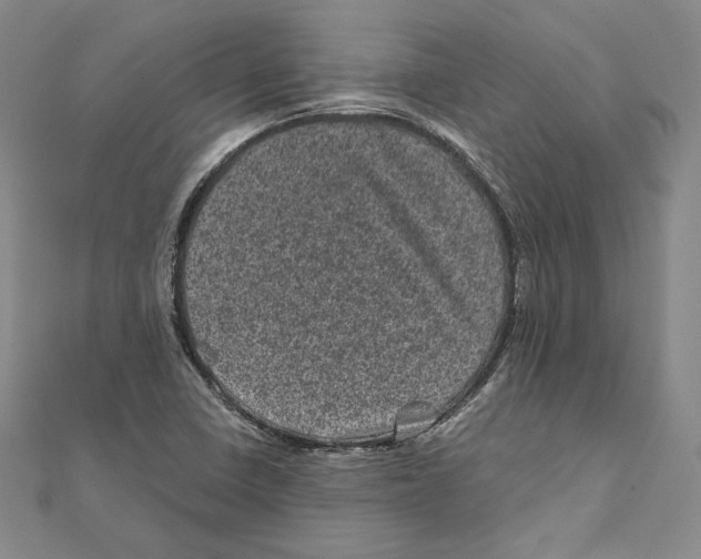 X0000111871410200908201207