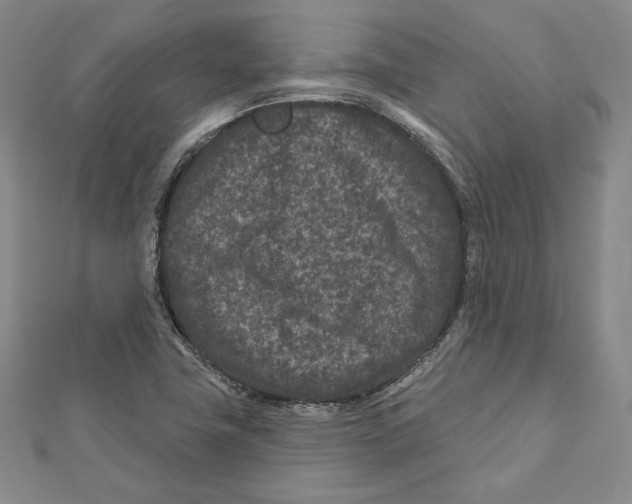 X0000111871411200908201207