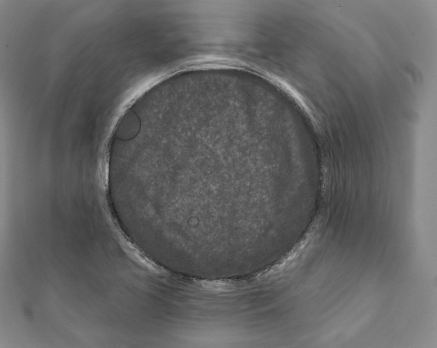 X0000111871413200908201207