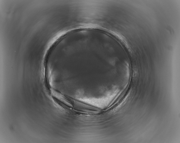 X0000111871414200908201207