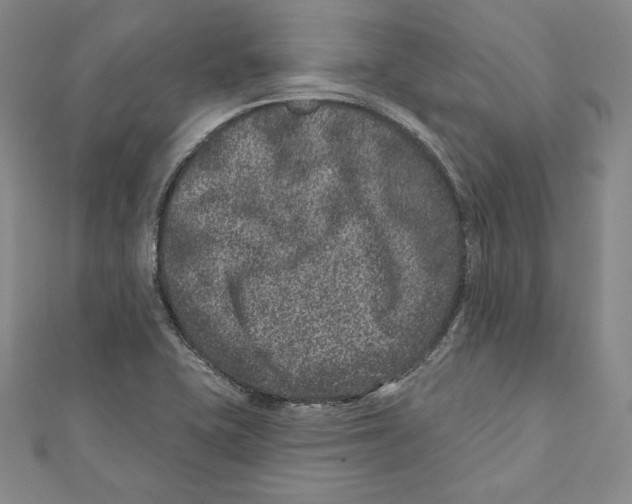 X0000111871415200908201207