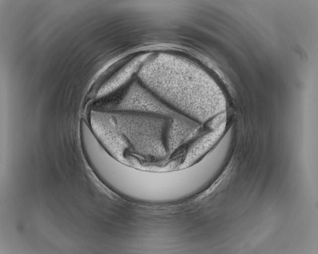 X0000111871417200908201207