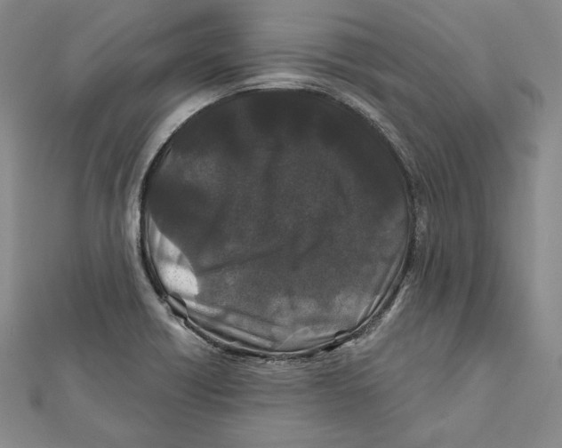 X0000111871418200908201207