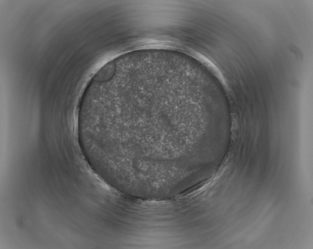 X0000111871419200908201207