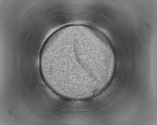 X0000111871420200908201207