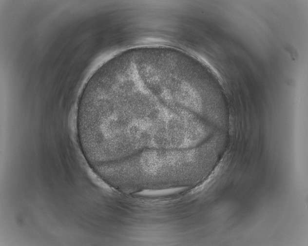 X0000111871421200908201207