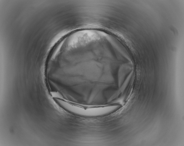 X0000111871422200908201207