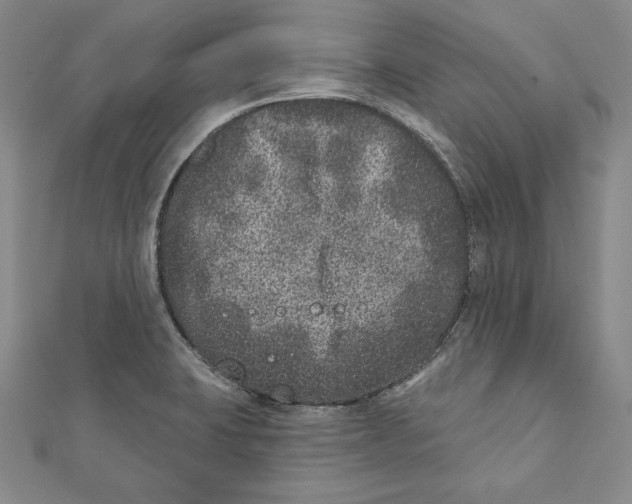 X0000111871423200908201207