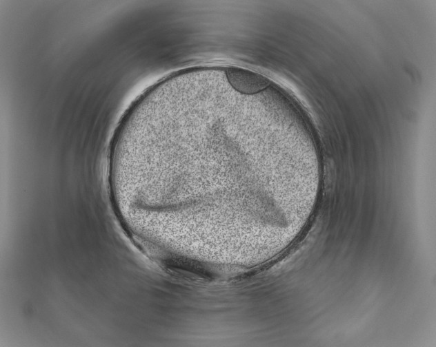 X0000111871424200908201207