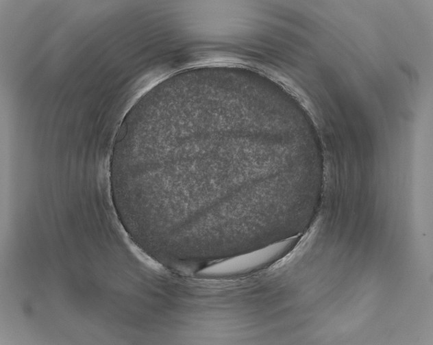 X0000111871425200908201207