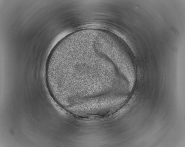 X0000111871426200908201207