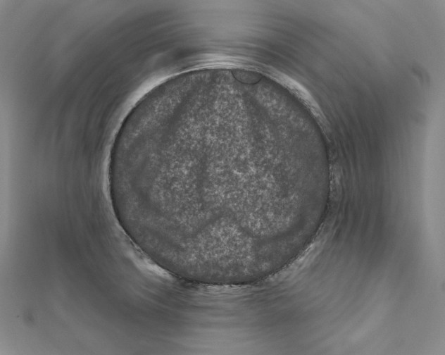 X0000111871427200908201207