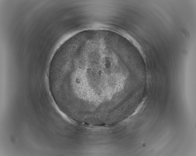 X0000111871429200908201207