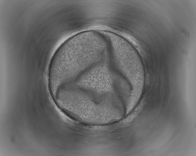 X0000111871430200908201207