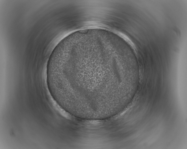 X0000111871431200908201207