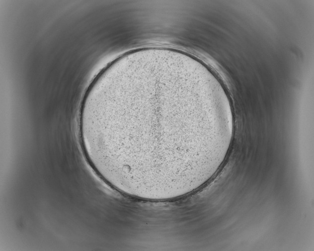 X0000111871432200908201207