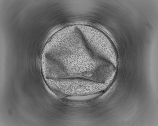 X0000111871433200908201207