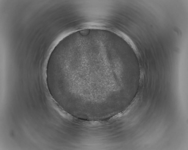 X0000111871435200908201207