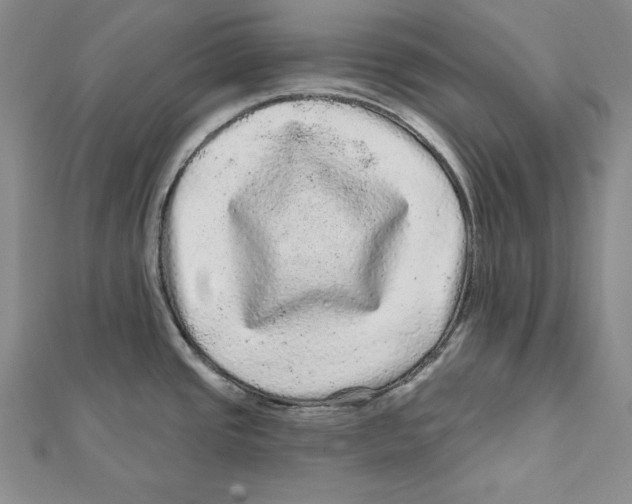 X0000111871437200908201207