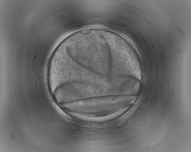 X0000111871438200908201207