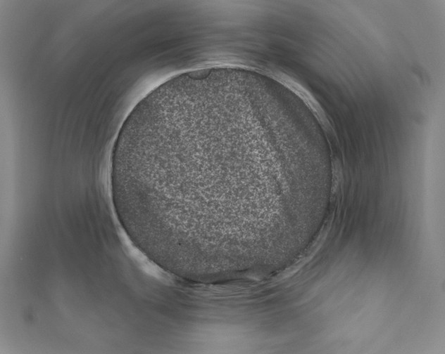 X0000111871439200908201207