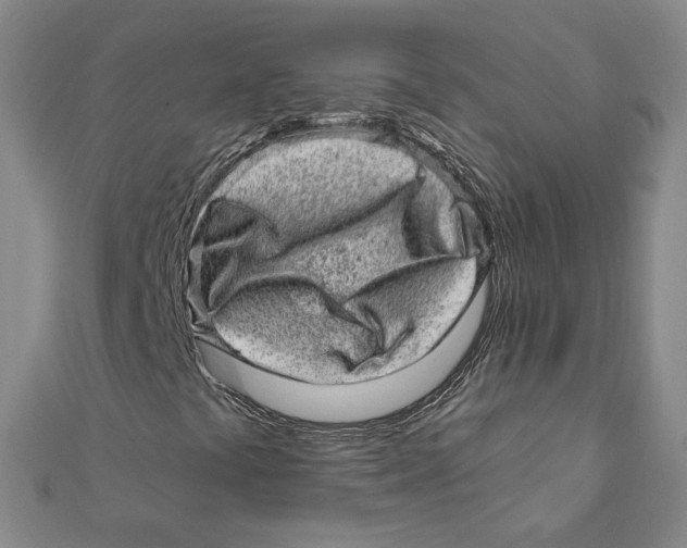 X0000111871441200908201206