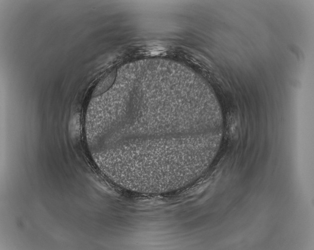 X0000111871442200908201206