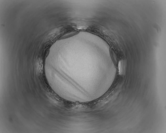 X0000111871443200908201206