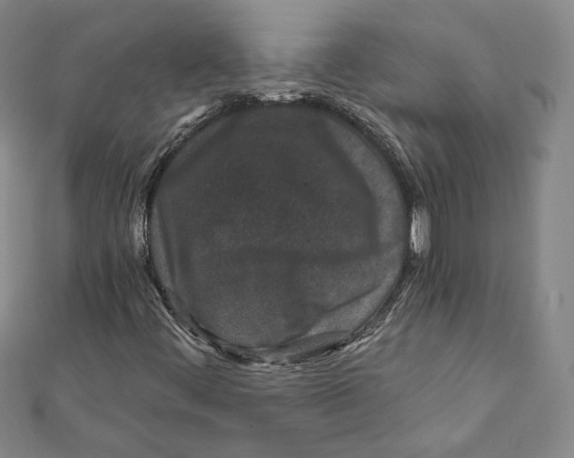 X0000111871444200908201206