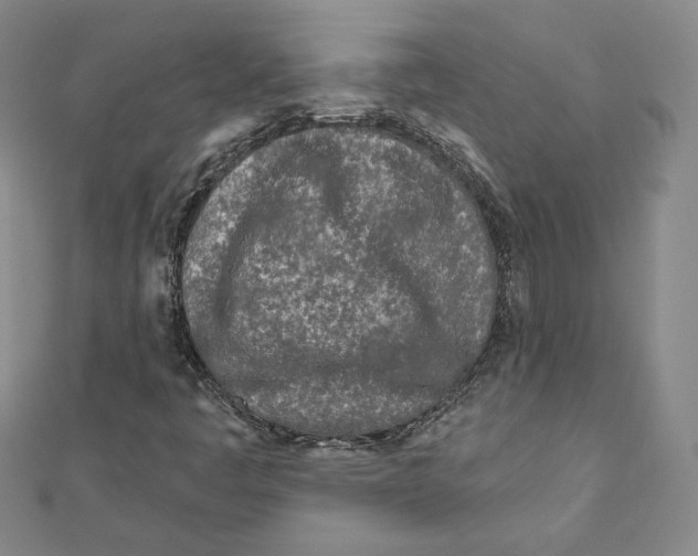 X0000111871445200908201206