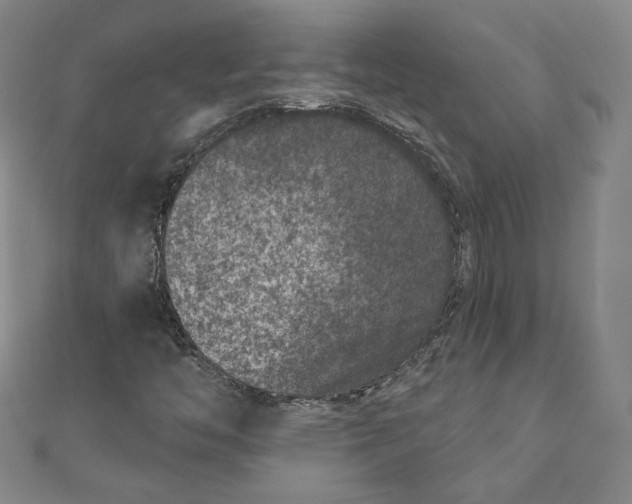 X0000111871446200908201206