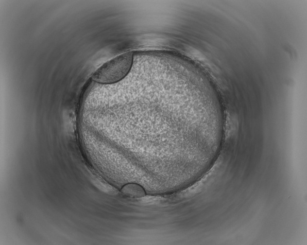 X0000111871449200908201206