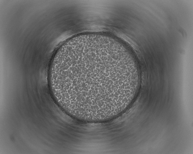 X0000111871451200908201206