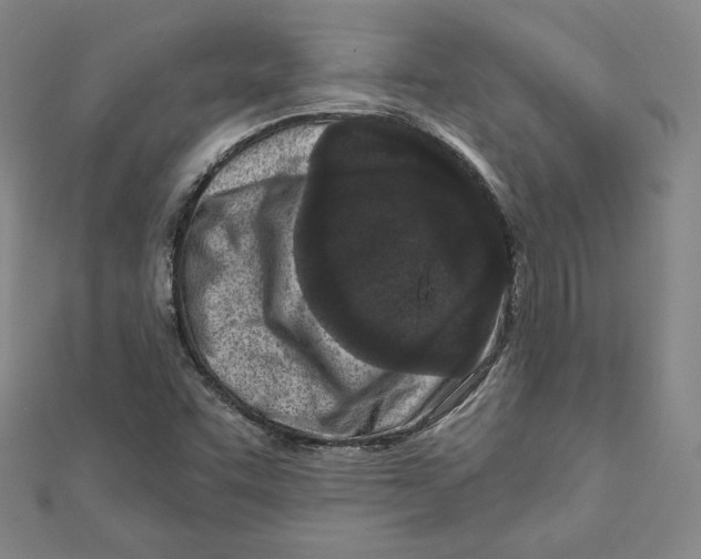 X0000111871455200908201206